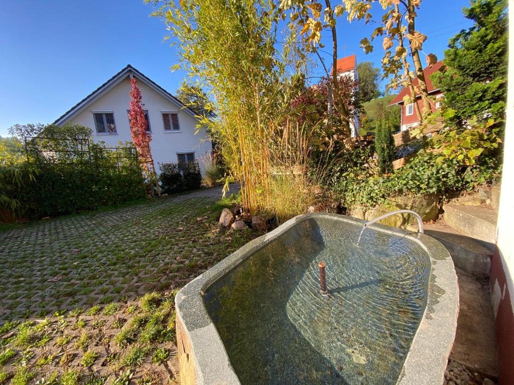 a swimming pool in the backyard of a house at Pia's Nature Retreat in Neukirch