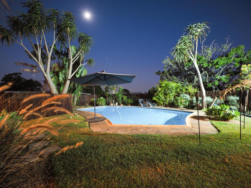 una piscina con ombrellone in un cortile di Fever Tree Guesthouse a Hillcrest