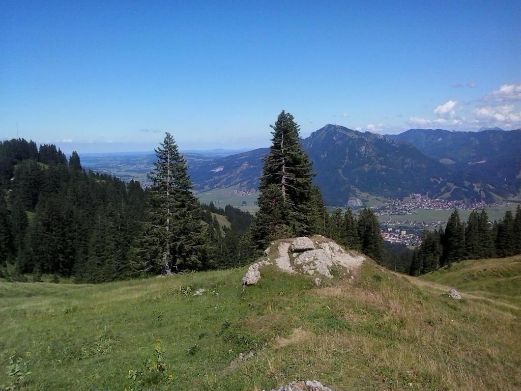 Una colina de hierba con árboles encima. en Allgäu Berge und Seen, en Immenstadt im Allgäu