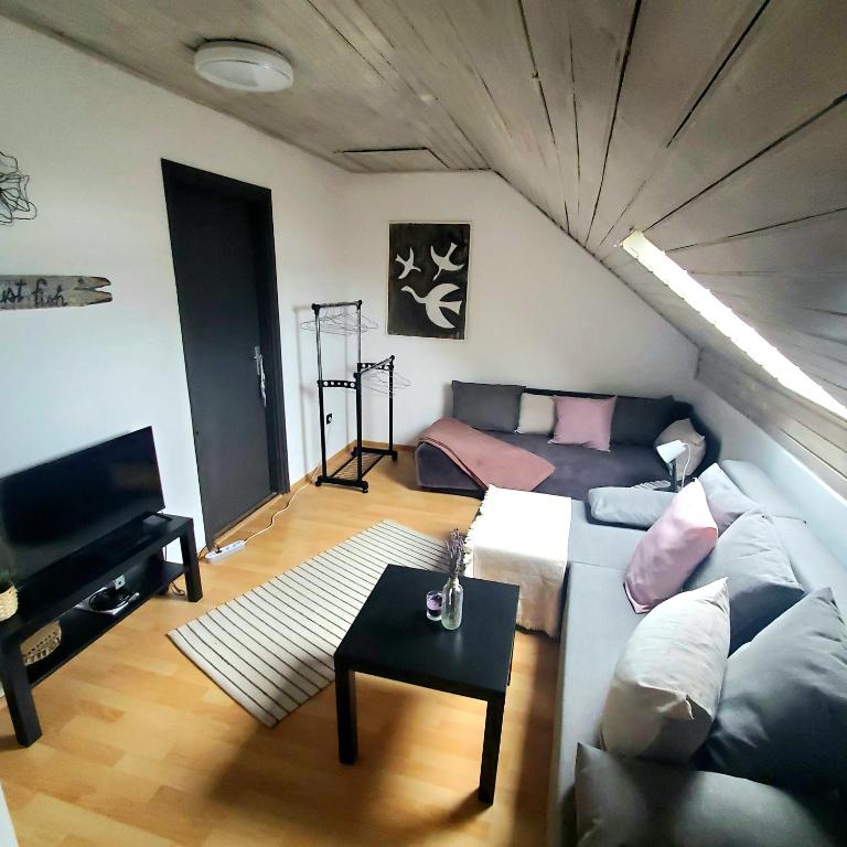 a living room with a couch and a tv at Duna House Duna Ház in Tass