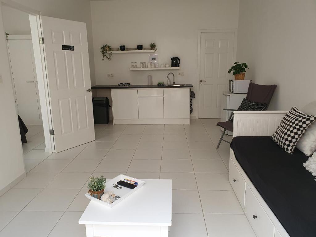 Kuchyň nebo kuchyňský kout v ubytování A2 APARTMENT budget at JAN THIEL Curacao