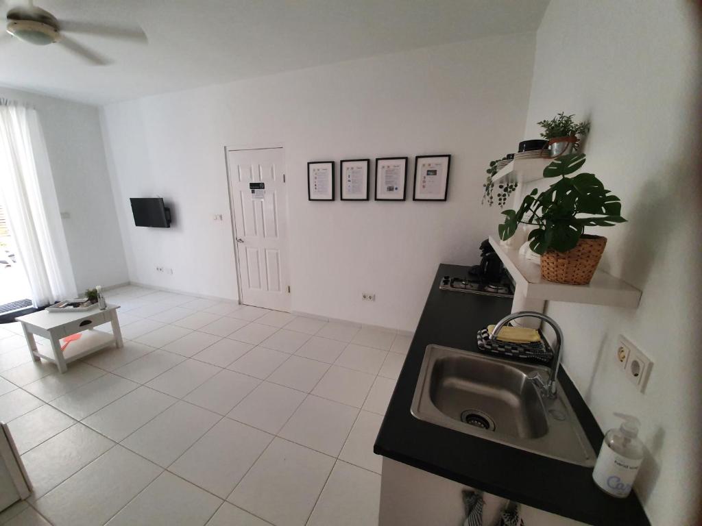 TV a/nebo společenská místnost v ubytování A2 APARTMENT budget at JAN THIEL Curacao