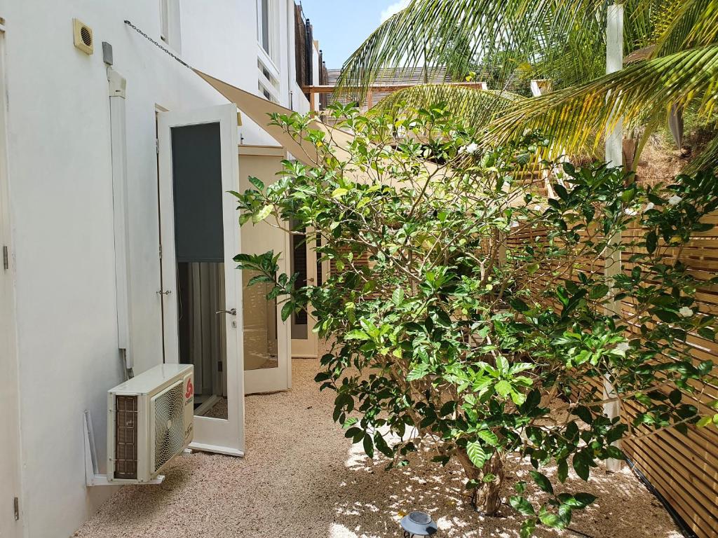 Zahrada ubytování A2 APARTMENT budget at JAN THIEL Curacao