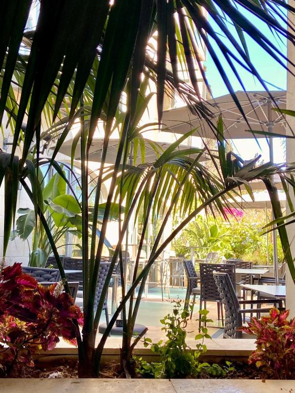 The Village Boutique and SPA - 12