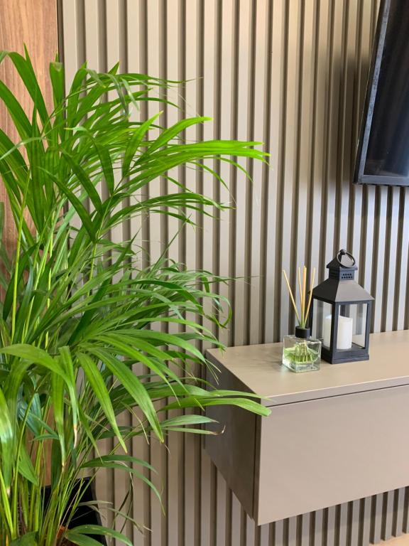 una pianta verde seduta su una scrivania accanto a un muro di Дизайнерские Апартаменты класса Люкс! a Bila Cerkva