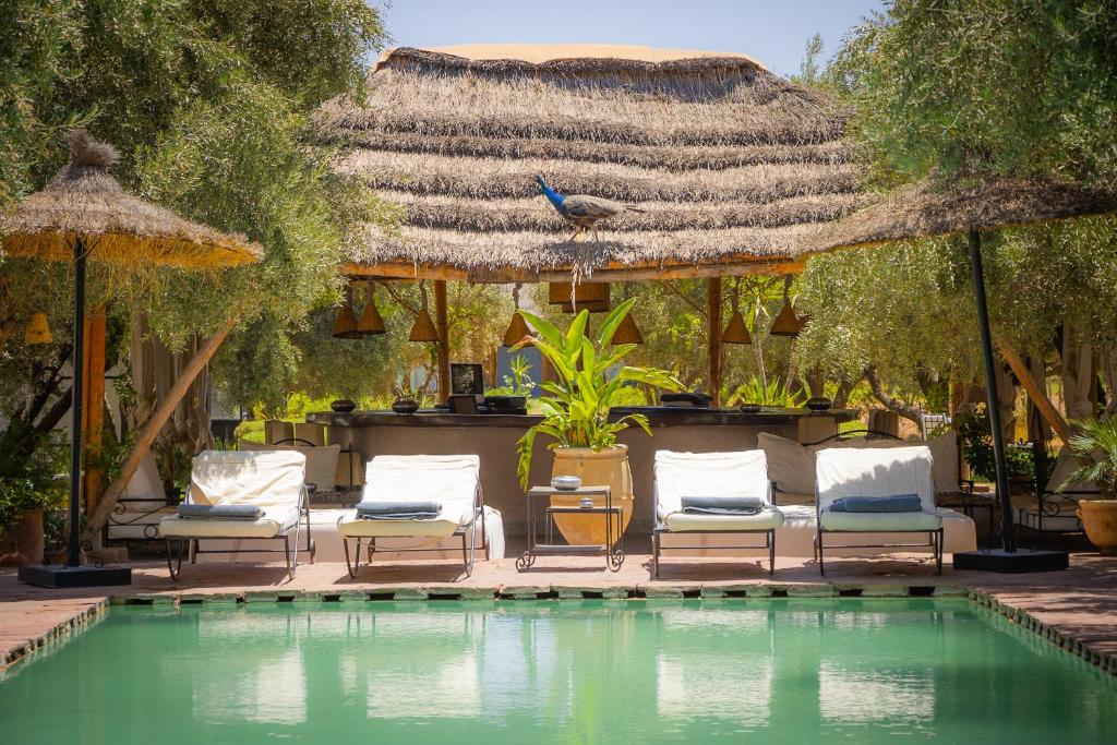 un grupo de sillas sentadas junto a una piscina en Lodges & Spa La Ferme El Dar, en Marrakech
