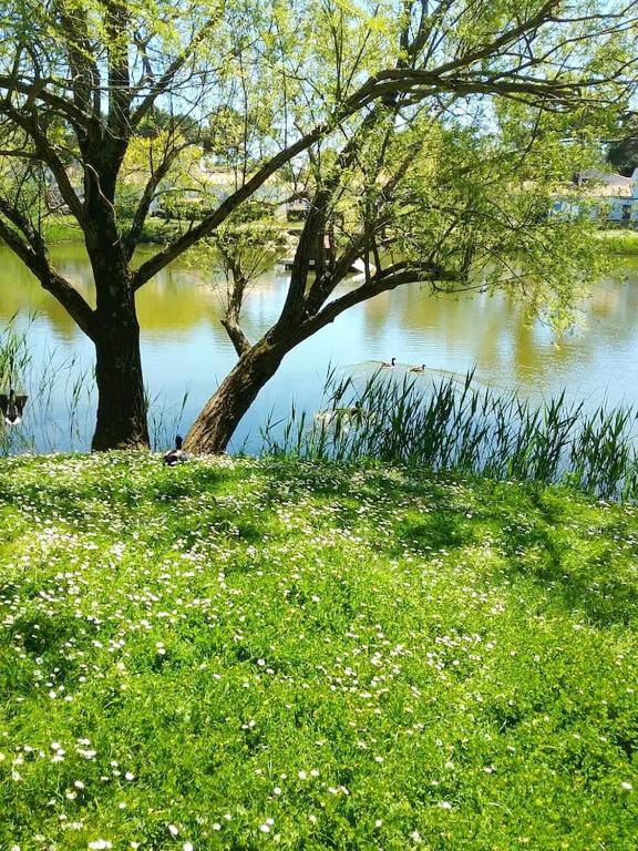 Un paisaje natural cerca de la casa vacacional