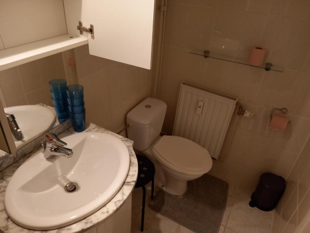 Koupelna v ubytování Ceder 8