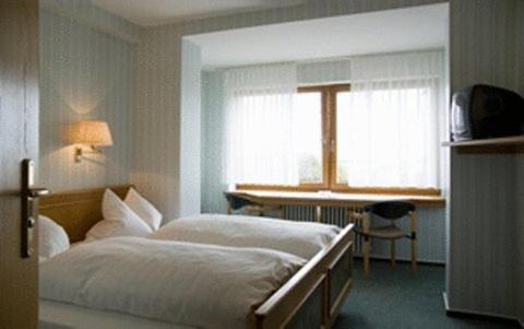 Landhotel Gasthof am Berg - Habitación Doble O Twin