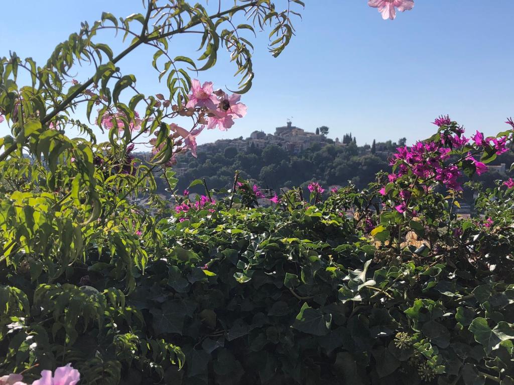 Ein Garten an der Unterkunft Les Grimaldines - Maison d&#39;Hôtes
