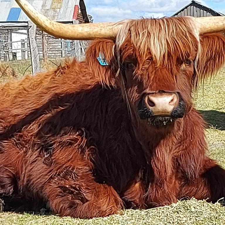 Straw House Farm STANTHORPE, Dalveen (updated prices 2024)