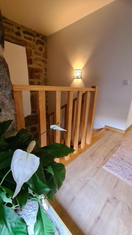 Alqueiturismo - Casas de Campo - 13