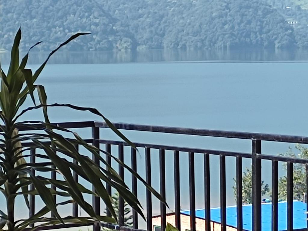 a plant sitting on a balcony overlooking a body of water at Hotel Green Hill View in Pokhara