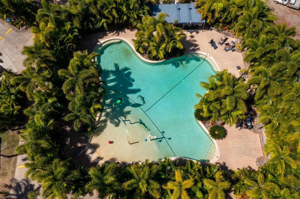 an overhead view of a swimming pool with palm trees at NRMA Airlie Beach Holiday Park in Airlie Beach