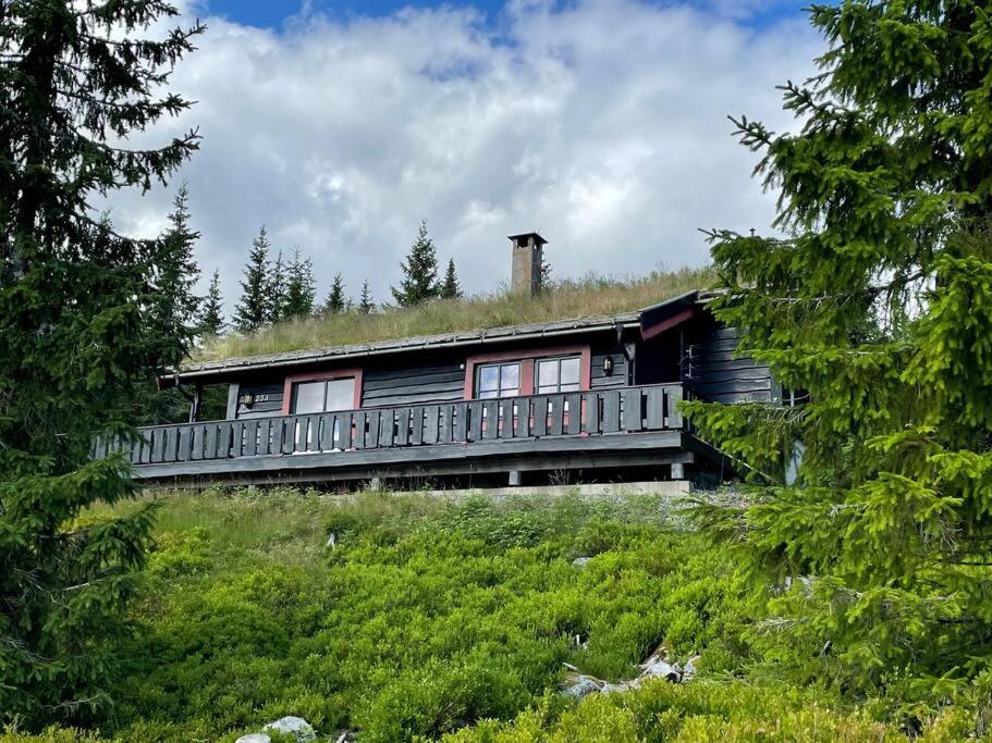 dom z dachem trawy na szczycie wzgórza w obiekcie Centrally located cottage at Sjusjøen ski center w mieście Ringsaker