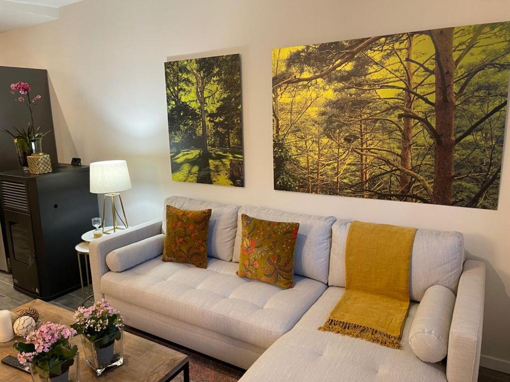 un soggiorno con divano e 2 dipinti alle pareti di Puertas de amor a Cercedilla