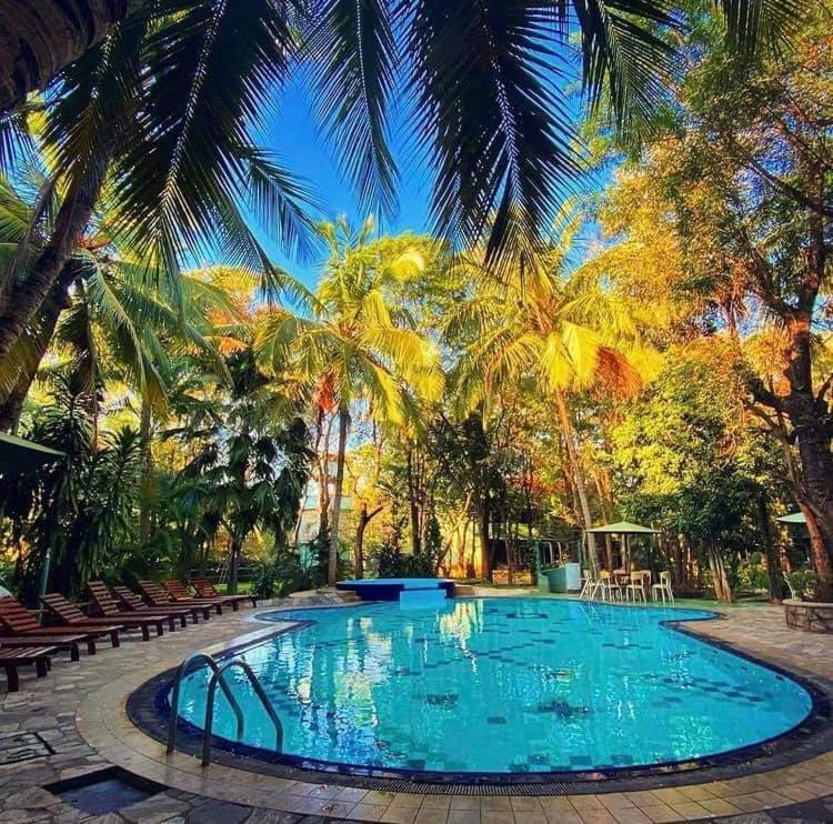 Bazén v ubytování Hotel Eden Garden nebo v jeho okolí