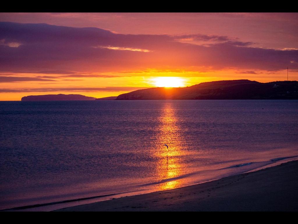 a sunset on the beach with a bird in the water at Bungalow33 Benllech in Benllech