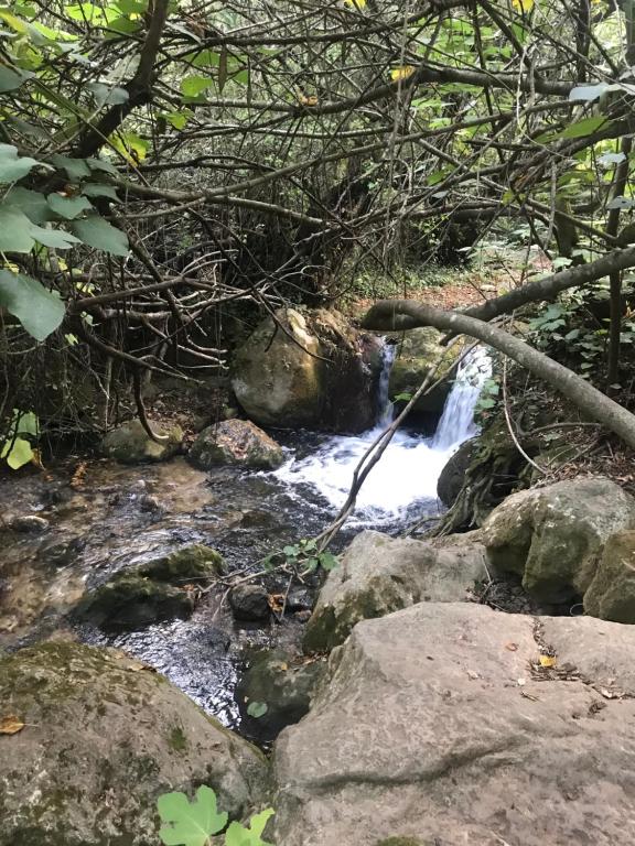 Príroda v okolí dovolenkového domu