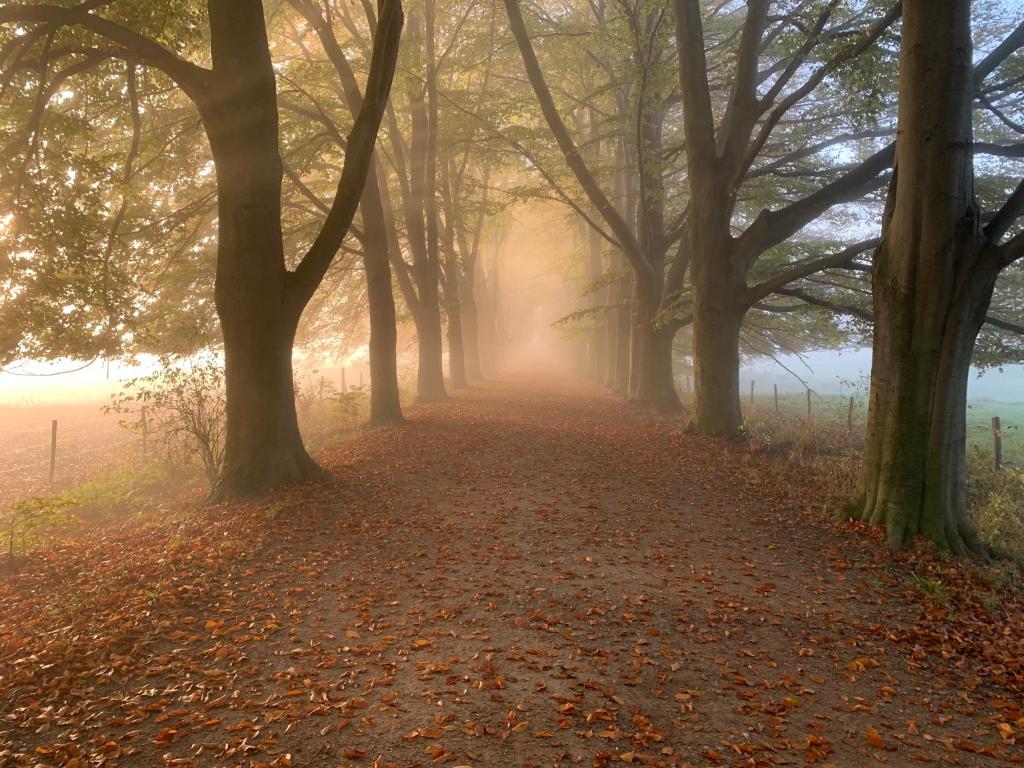 Hotel Atlanta - Resim 45