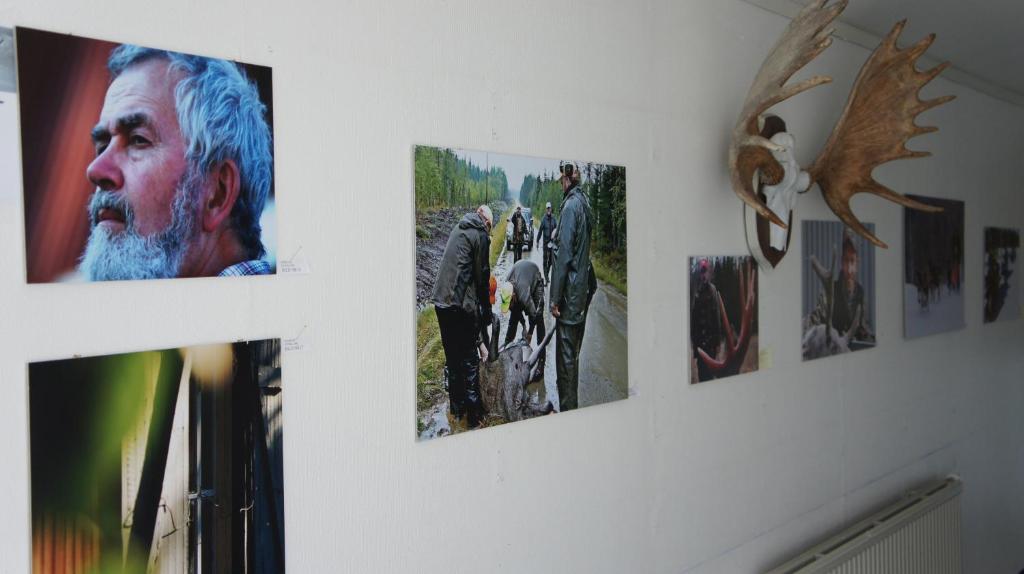 Fotografie z fotogalerie ubytování Hotell Vindelngallerian v destinaci Vindeln