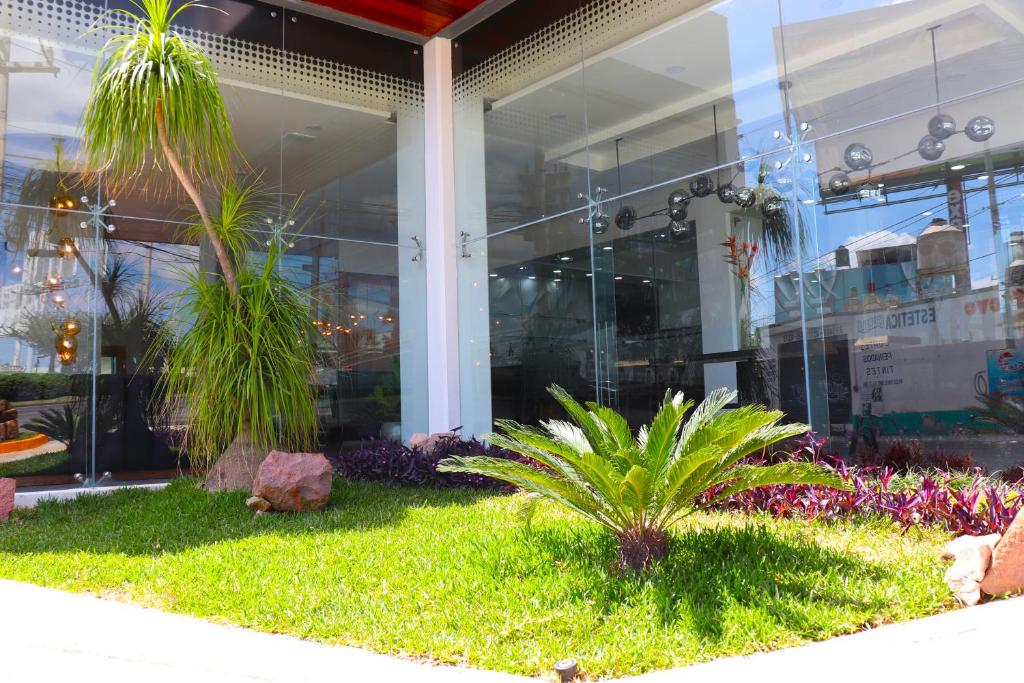 Zahrada ubytování Hotel Bugari Aeropuerto Guadalajara