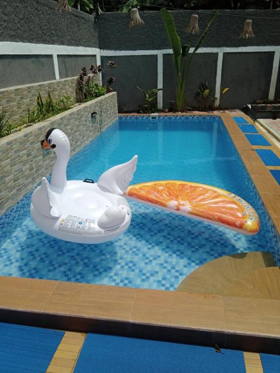 a plastic swan and a inflatable duck in a swimming pool at Villa Dhanty in Bogor