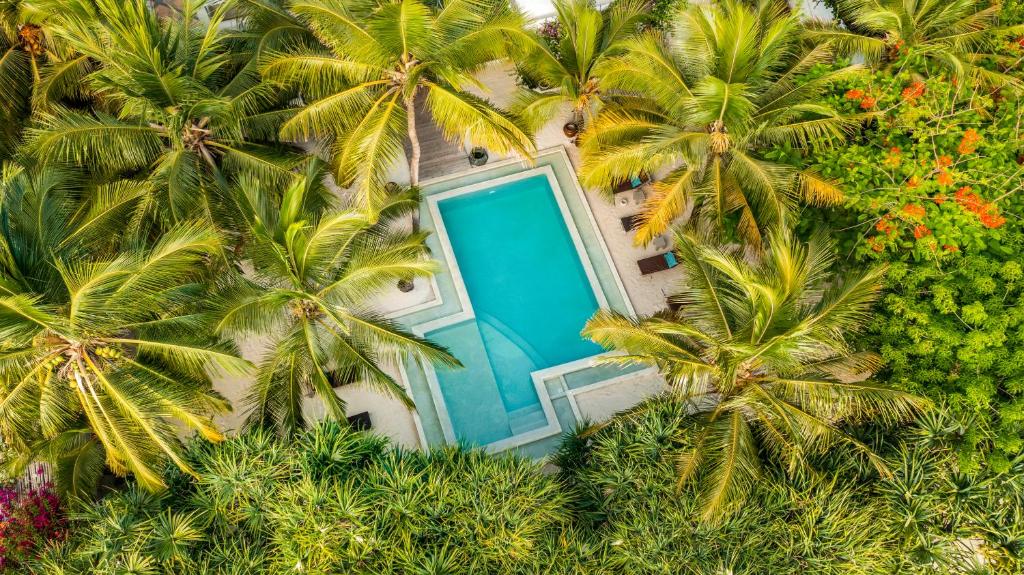 an overhead view of a pool between palm trees at Uzuri Boutique Hotel in Jambiani