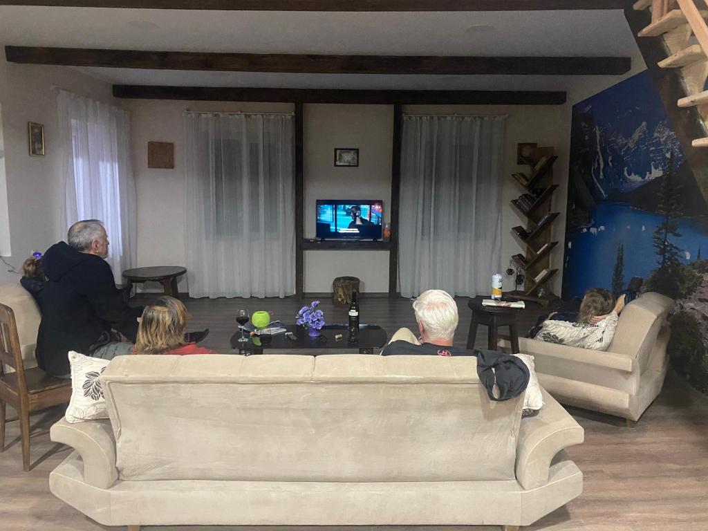 TV a/nebo společenská místnost v ubytování IURI udesiani's GUESTHOUSE