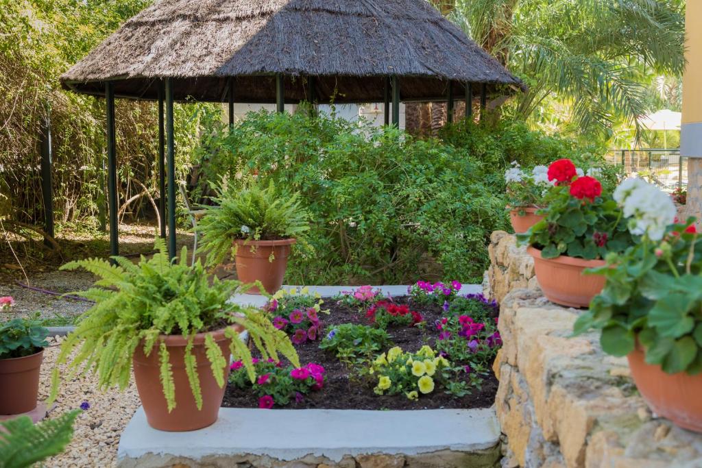 A garden outside Apartamentos El Palmeral de Madaria