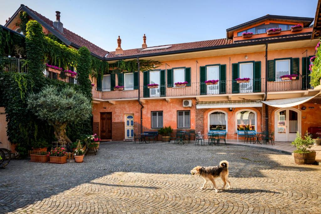 Cantina Anzivino - Affittacamere kisállat-vendégei