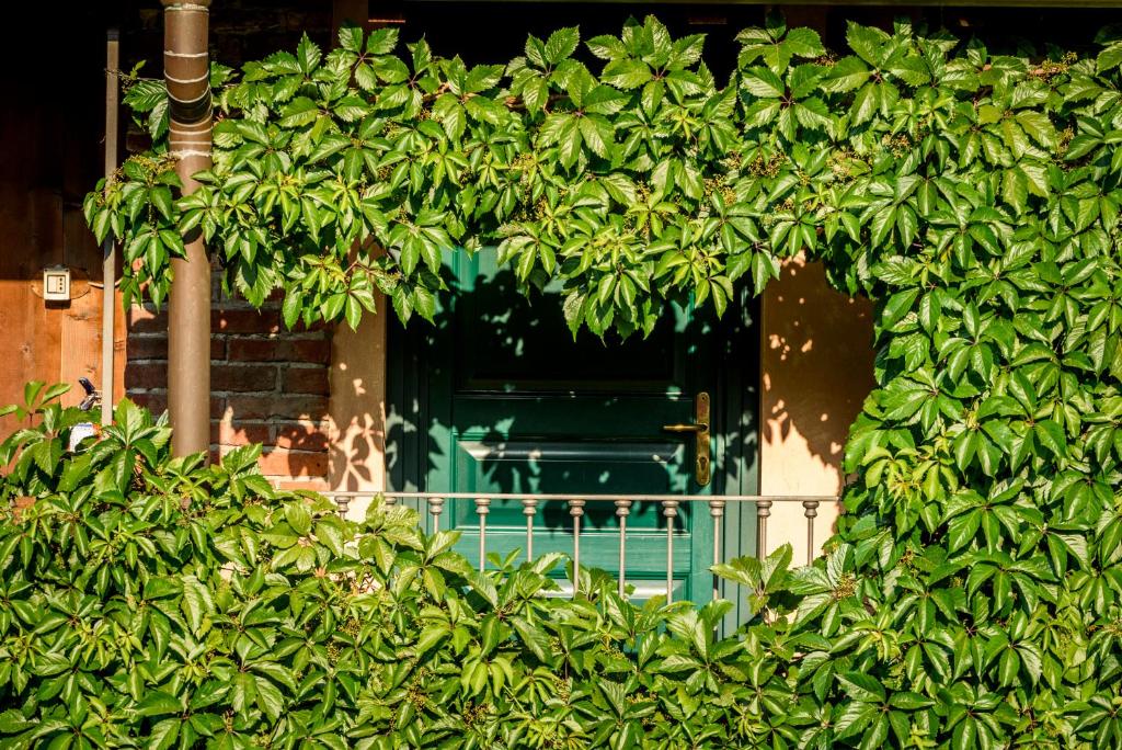 A garden outside Cantina Anzivino - Affittacamere