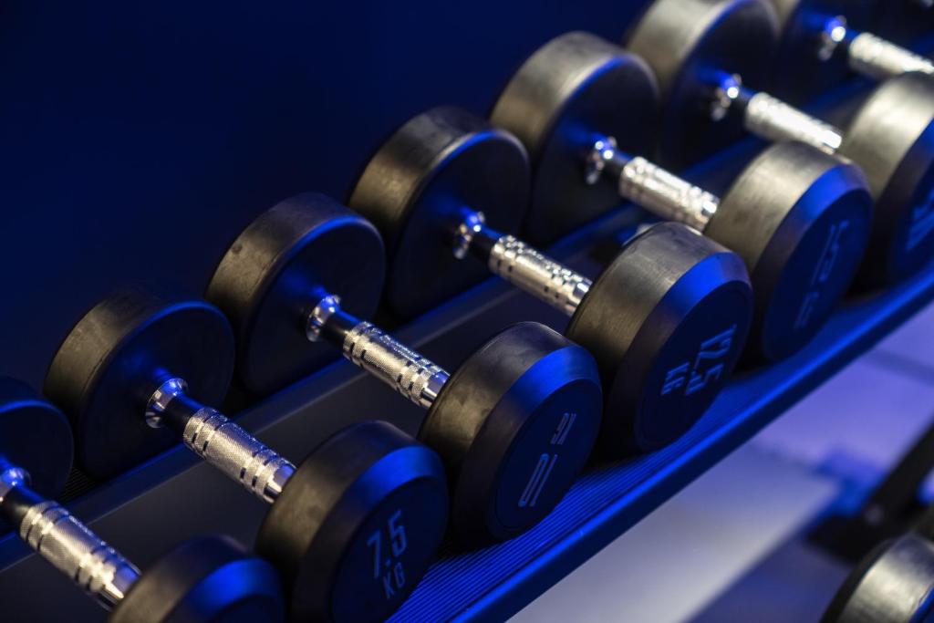 Fitness centrum a/nebo fitness zařízení v ubytování Suites Plaza Hotel & Wellness