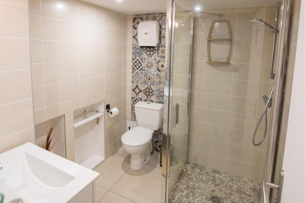 a bathroom with a shower and a toilet and a sink at KASA HOME - Calme, Cosy, WIFI &amp; Netflix in Saint-Martin-la-Plaine