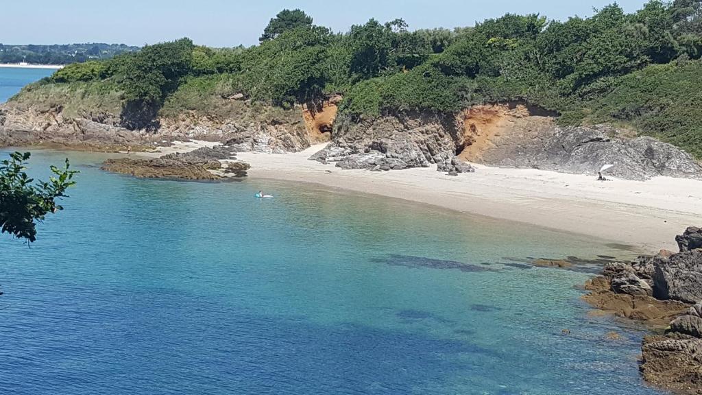 een strand met blauw water en rotsen en bomen bij Chambre d'hote Les Iles Concarneau in Concarneau