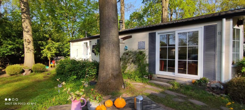 una casa con un árbol delante de ella en Boshuisje en Wageningen