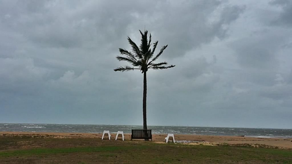 palma siedząca obok plaży z dwoma krzesłami w obiekcie Sea View Villa. 2 bedroom. Sleeps 4. Free WIFI w mieście Victoria Park