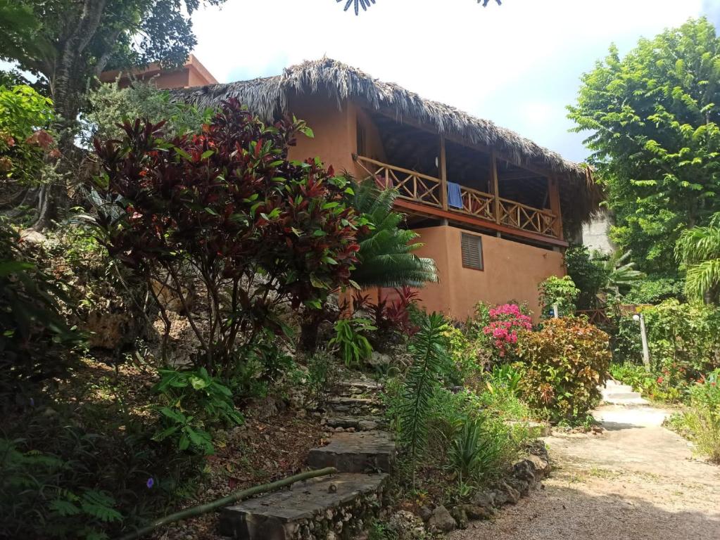 ein Gebäude mit einer Treppe, die in einen Garten führt in der Unterkunft La Casa Del Arbol in Las Galeras