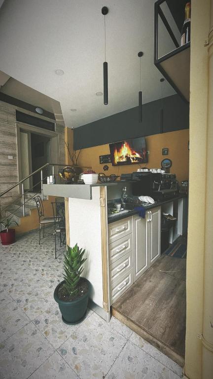BELUX HOTEL - Image 4