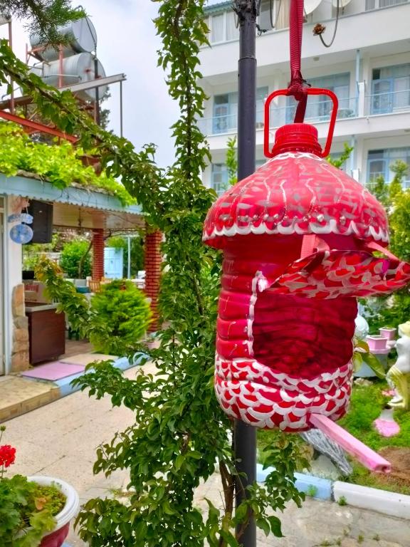 Zahrada ubytování Side Erenler Hotel