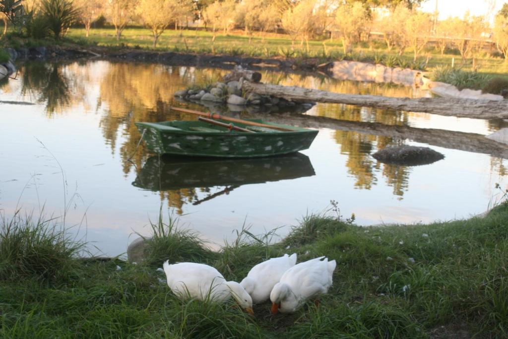 The Peppertree Luxury Accommodation - Resim 22