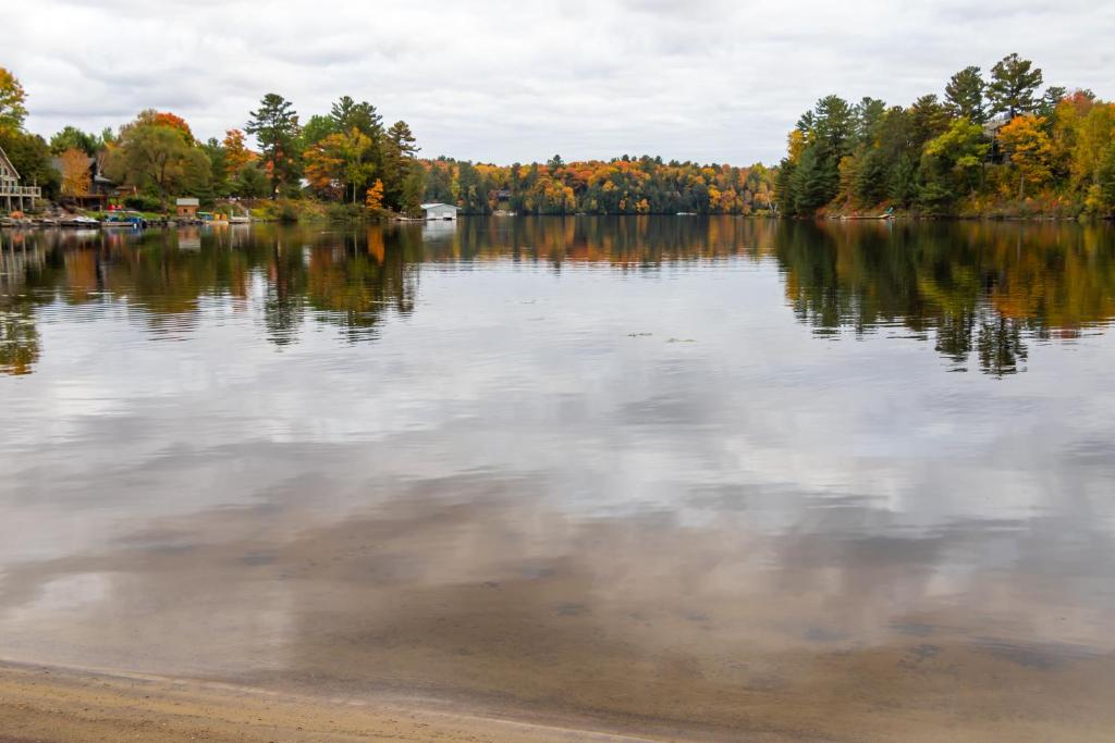 a view of a lake with trees in the background at Fairy Bay Lakehouse in Huntsville