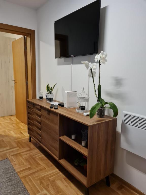 TV a/nebo společenská místnost v ubytování Apartman TIM LUX 2