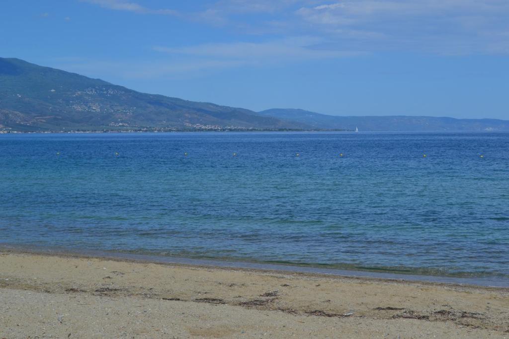 Filoxenia Hotel - Resim 24