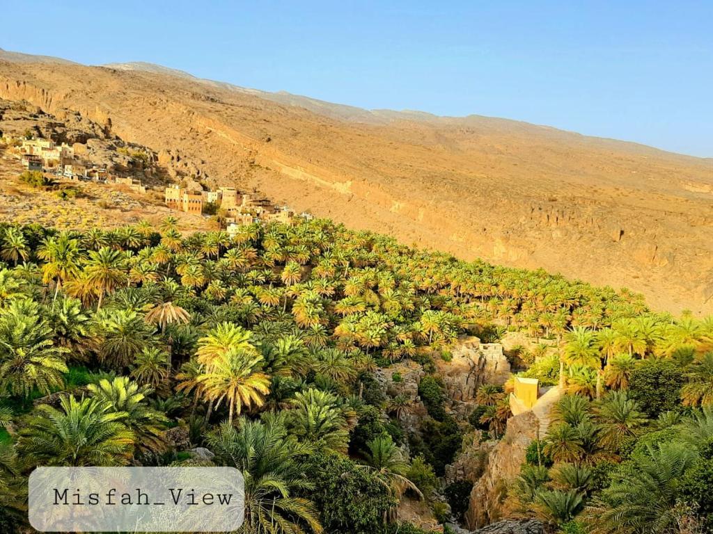 a view of a hill with palm trees and a mountain at Misfah View in Misfāh