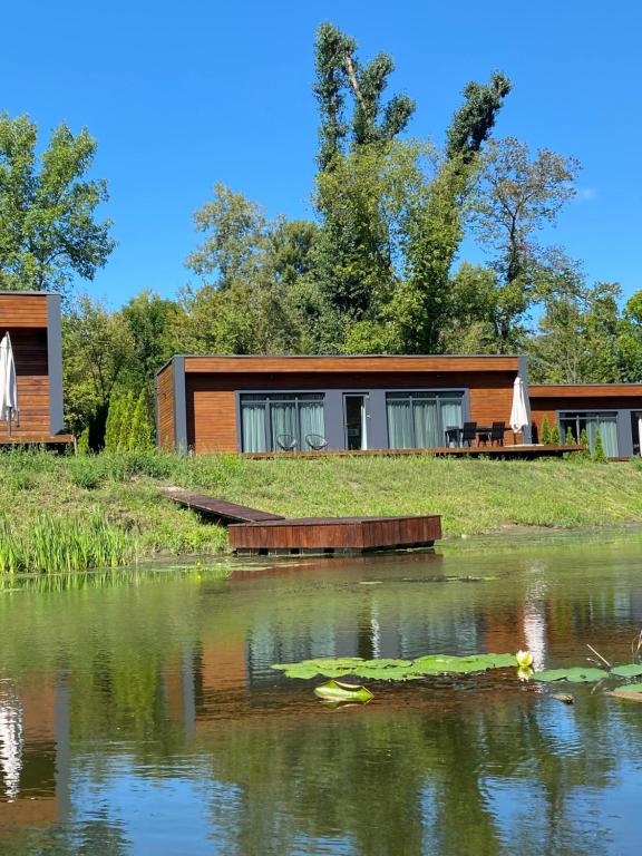 a house with a pond in front of it at Fisherman in Kyiv