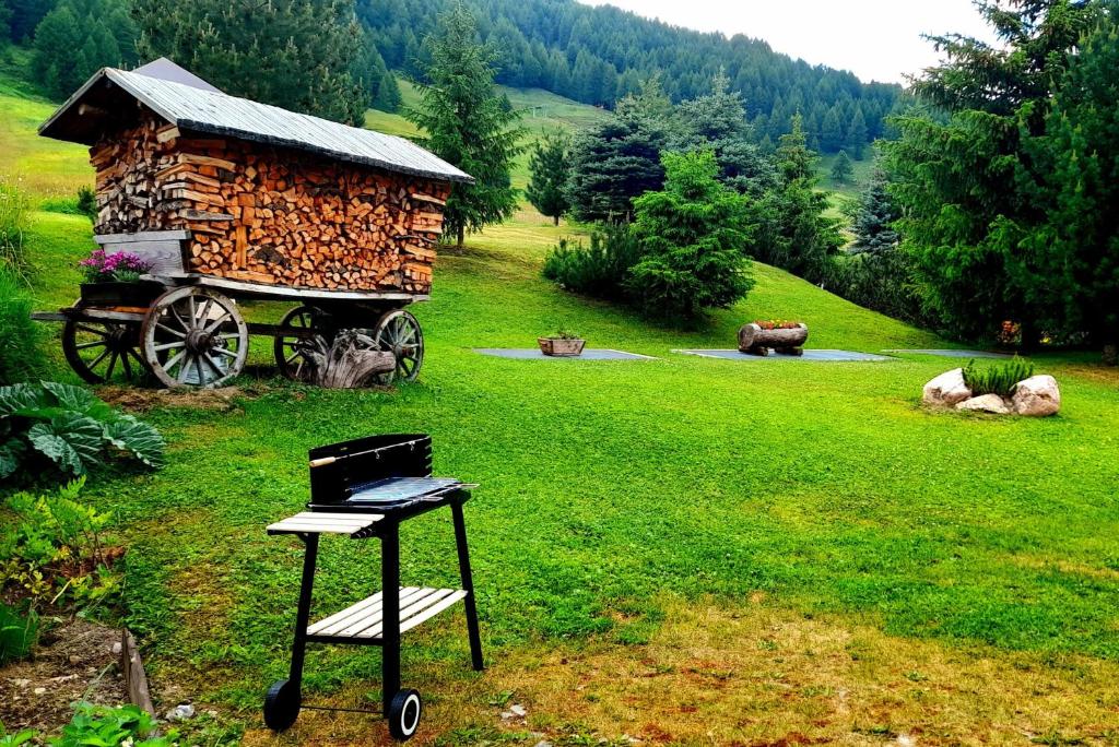 Gallery image of Chalet La Gualt in Livigno