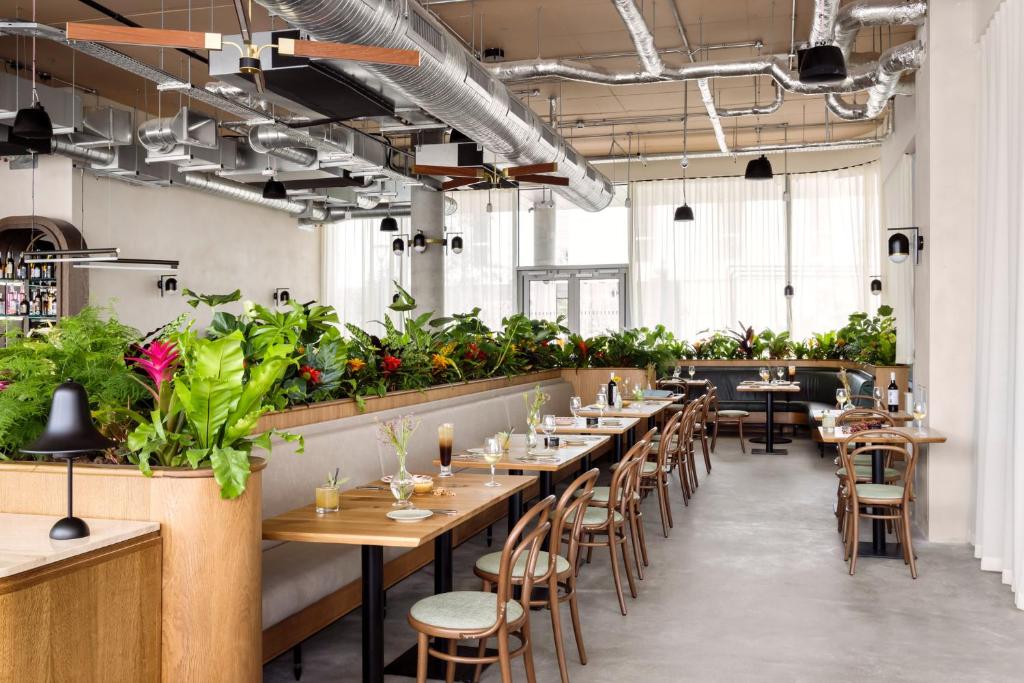 Hyatt Centric Cambridge - Resim 37