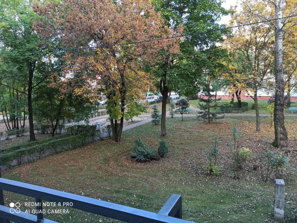 Vonkajšia záhrada v ubytovaní Studio Park Śląski Katowice/Chorzów