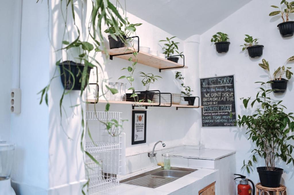 a kitchen with plants on the wall and a sink at Snooze in Yogyakarta